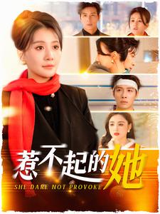惹不起的她(106集)屈婉琼-搜外项目网