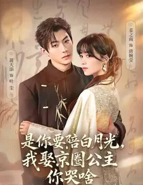是你要陪白月光，我娶京圈公主你哭啥＆既然你选白月光，我联姻你哭什么（73集全）苗天添＆姜之南-搜外项目网