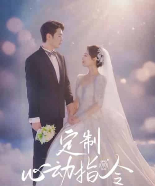 定制心动指令（85集）闫蕾-搜外项目网