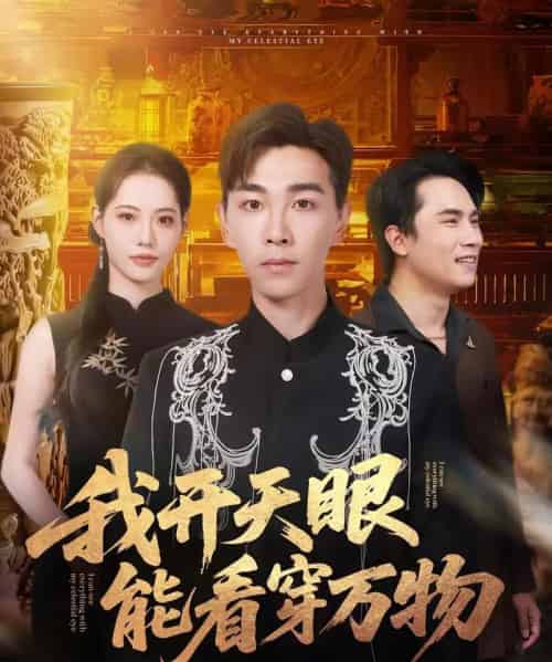 我开天眼能看穿万物（80集全）胡程耀＆董洁-搜外项目网