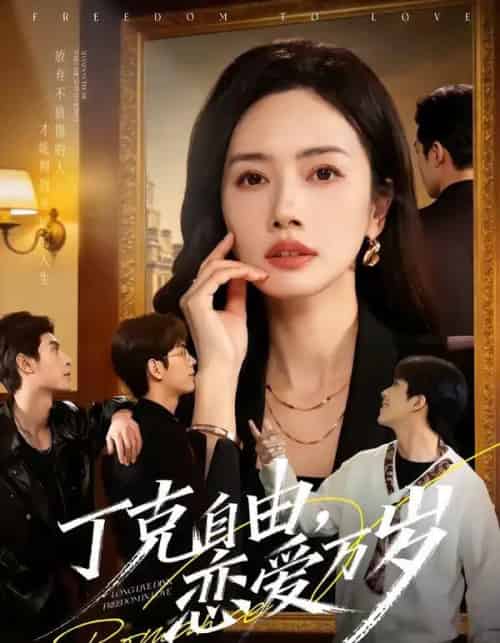 丁克自由，恋爱万岁（80集全）张泽渊＆杜嘉人-搜外项目网