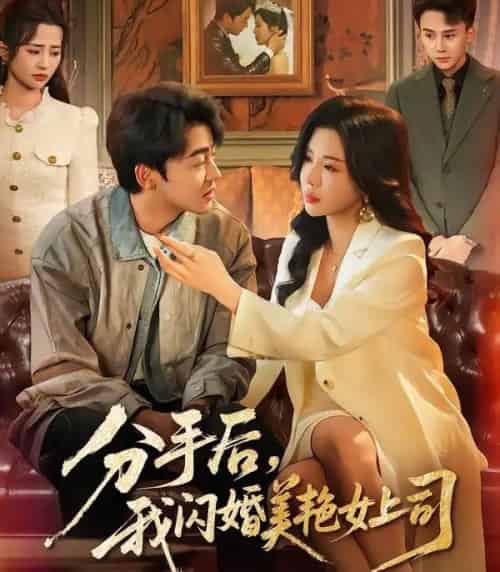 分手后，我闪婚美艳女上司（62集全）涂蕊＆王鑫源-搜外项目网