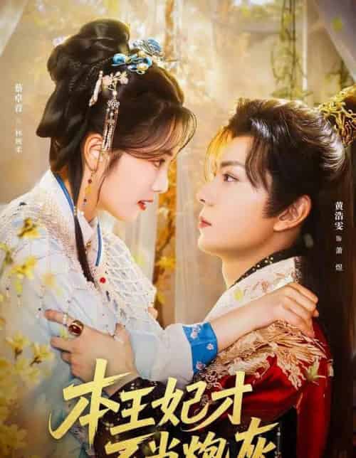 本王妃才不当炮灰（84集全）黄浩雯＆蔡卓音-搜外项目网
