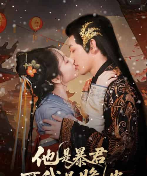 他是暴君可我是脆皮(80集)韩凤儿-搜外项目网