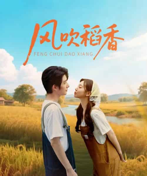 风吹稻香（80集）朱一未＆白昕怡-搜外项目网