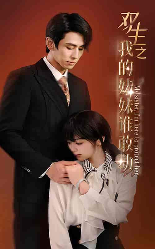 双生之我的妹妹谁敢动＆骄阳照我（74集）钟熙-搜外项目网