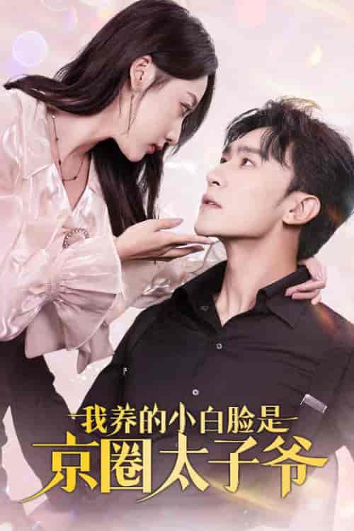 我养的小白脸是京圈太子爷（71集全）沉思＆李若琪-搜外项目网