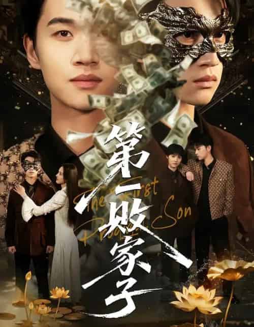 第一败家子(62集全)赵敏儿&冯攀龙-搜外项目网