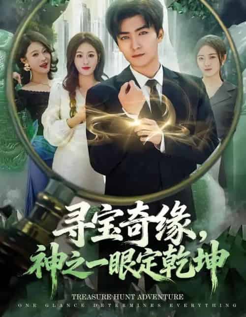 寻宝奇缘,神之一眼定乾坤(80集全)刘抒航&孙溪-搜外项目网