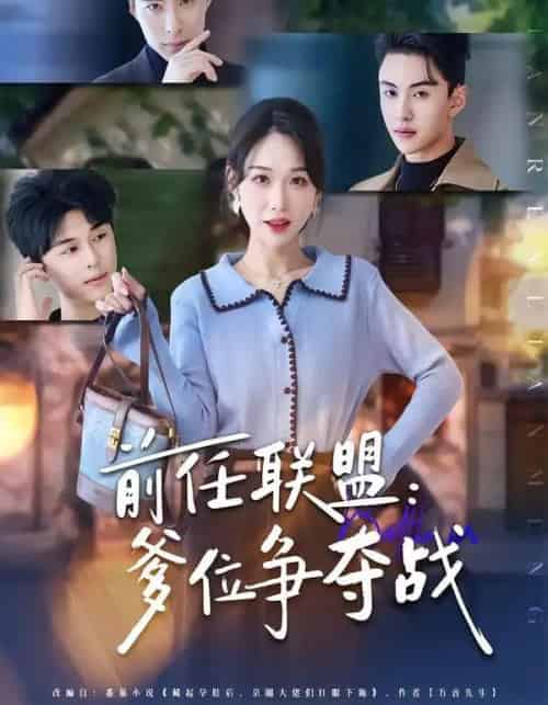 前任联盟：爹位争夺战（60集全）于忻＆王博煜＆李鸣洋-搜外项目网