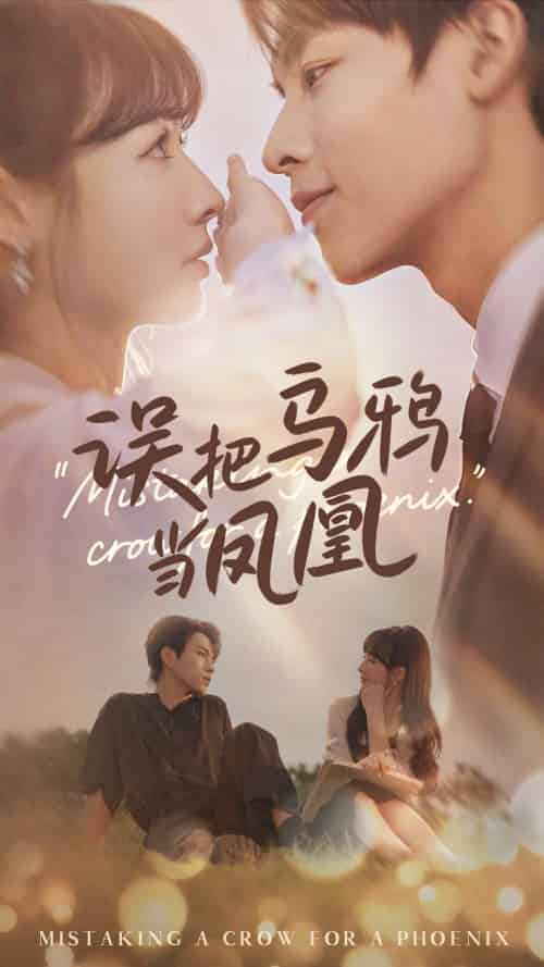 误把乌鸦当凤凰（63集）李红雨＆杨雪-搜外项目网