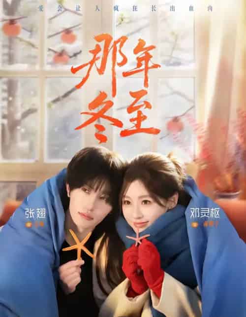 那年冬至（81集全）张翅＆邓灵枢-搜外项目网