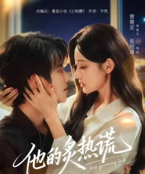 他的炙热谎（63集全）张庭睿＆曹赛亚＆袁千雪-搜外项目网