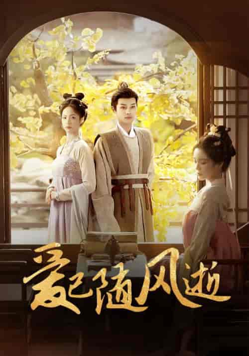 爱已随风逝（45集全）顾云峥＆沈凝-搜外项目网