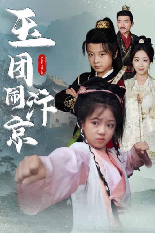 玉团闹汴京(60集全)罗意淳&倪越杭-搜外项目网