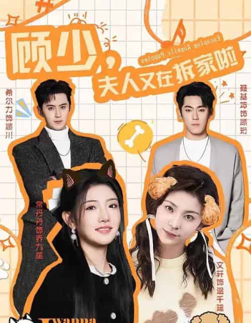 顾少,夫人又在拆家啦(78集全)希尔力&常丹丹-搜外项目网