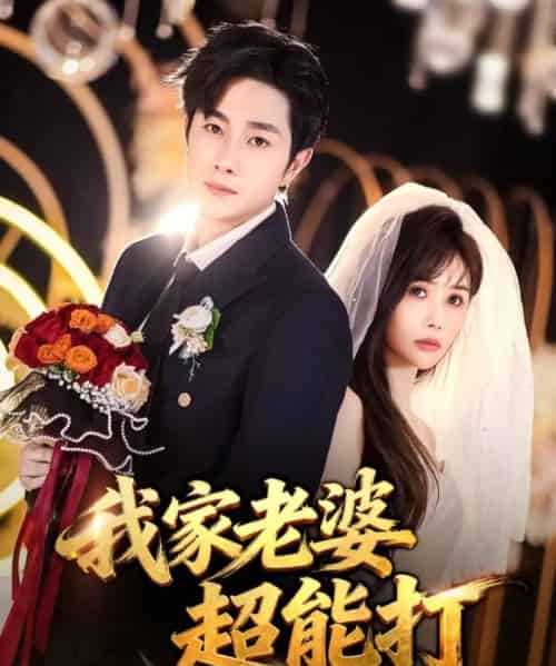 我家老婆超能打(60集全)王新颖&杨皓竣-搜外项目网