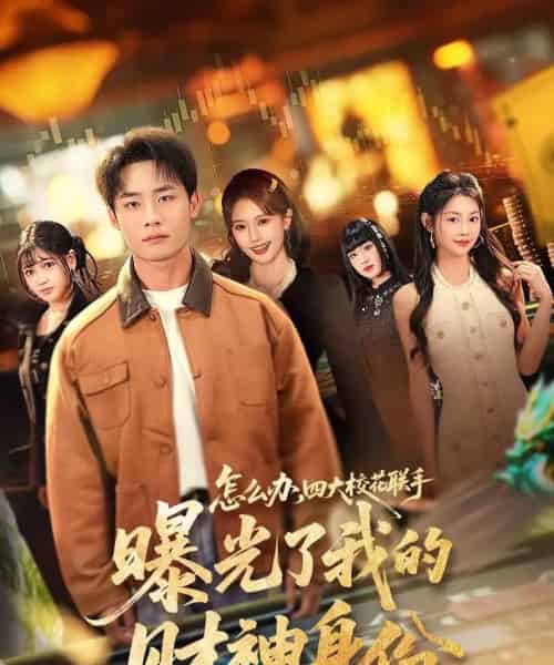 怎么办，四大校花联手曝光了我的财神身份（79集全）程勇炜＆张雅妮-搜外项目网