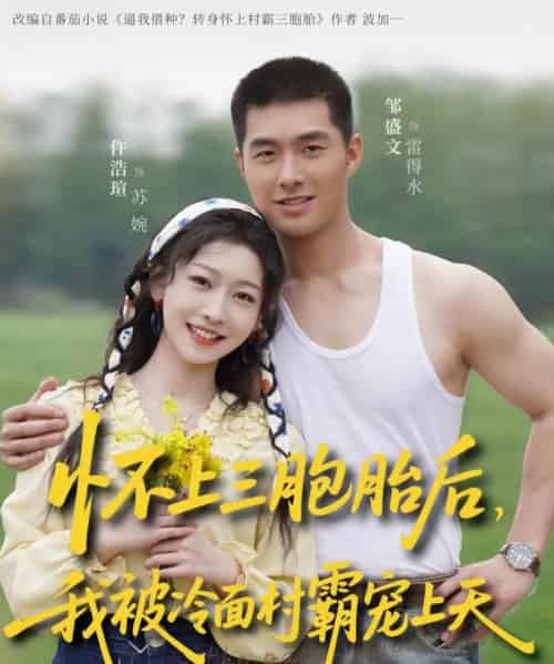 怀上三胞胎后，我被冷面村霸宠上天（72集全）邹盛文＆仵浩瑄-搜外项目网