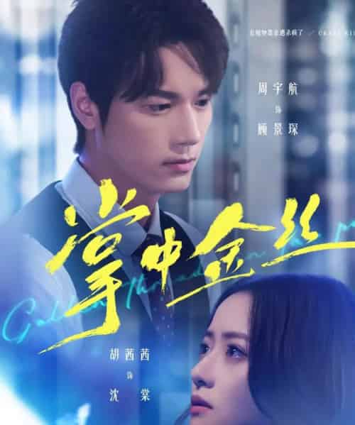 掌中金丝＆长姐她竟是隐藏大佬（60集全）周宇航＆胡茜茜-搜外项目网