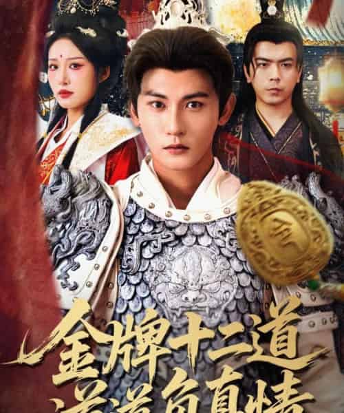 金牌十二道道道负真情（70集全）宋楠＆孙虎城-搜外项目网
