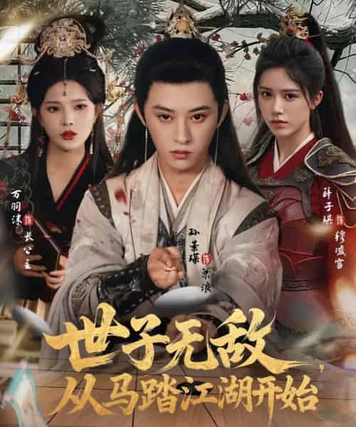 世子无敌，从马踏江湖开始（80集全）孙景琛＆万羽沫-搜外项目网