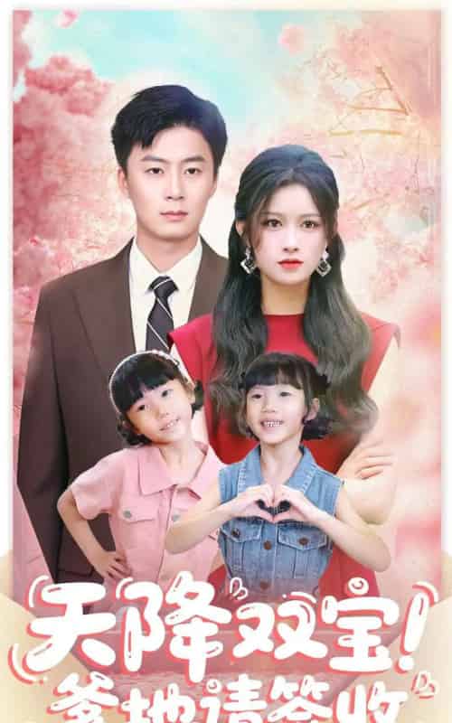 天降双宝爹地请签收(84集全)戴金麟&赵慧-搜外项目网