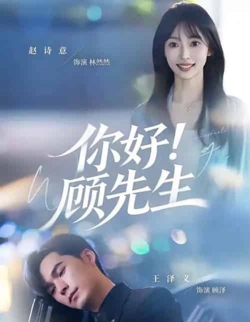 你好！顾先生（60集全）赵诗意＆王泽义-搜外项目网