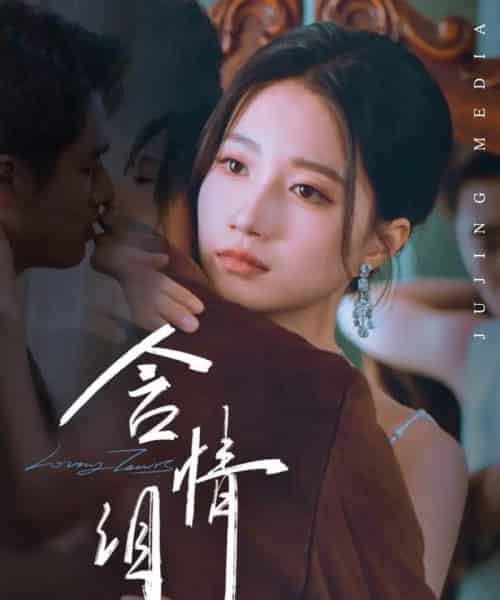 含情泪(45集)兰岚&张啸昂-搜外项目网