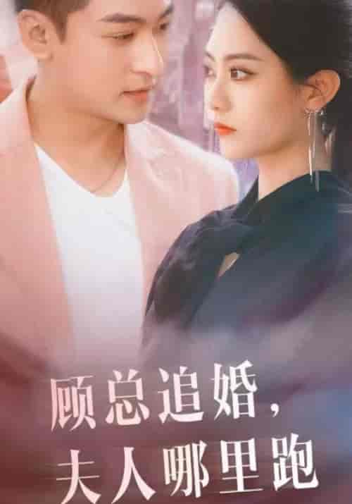 顾总追婚，夫人哪里逃（100集全）顾言洛＆林雅南-搜外项目网