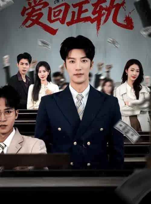 爱回正轨（50集全）王名扬＆姜枣-搜外项目网