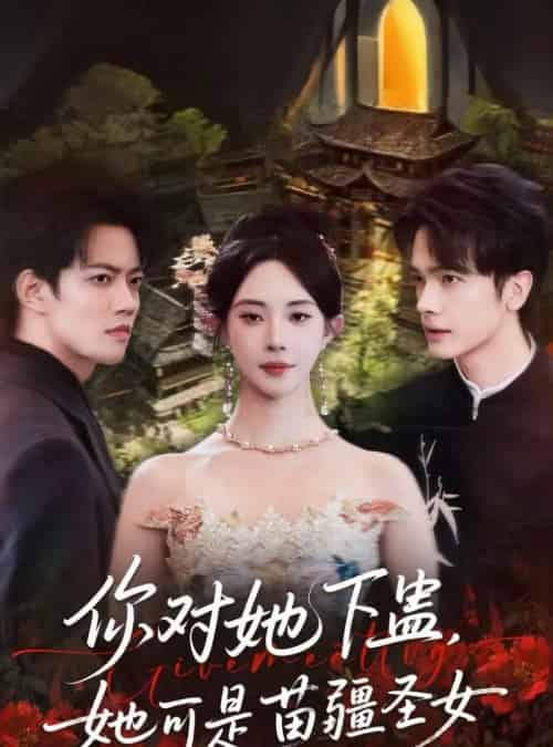 你对她下蛊？她可是苗疆圣女（62集全）时巍＆黎晟萱-搜外项目网