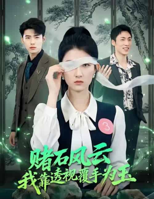 赌石风云：我靠透视覆手为玉（85集全）赵敏琪＆蔡佳伦-搜外项目网