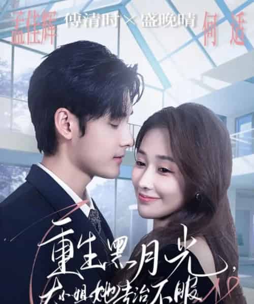 重生黑月光，大小姐她专治不服（80集全）孟佳辉＆何适-搜外项目网