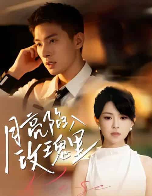 月亮陷入玫瑰里（60集全）邹盛文＆黄子珺-搜外项目网