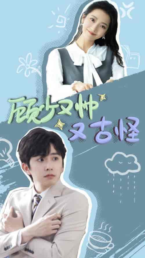 顾少又帅又古怪（66集全）钟正＆段柒萱-搜外项目网