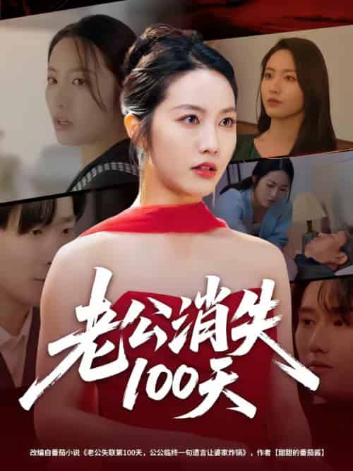 老公消失100天(80集全)白雪茹&张樊-搜外项目网