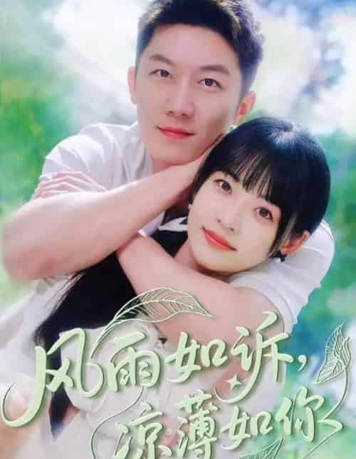 风雨如诉凉薄如你（70集）林津伊＆张层层-搜外项目网