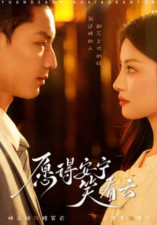 愿得安宁笑看云（78集全）林永炬-搜外项目网