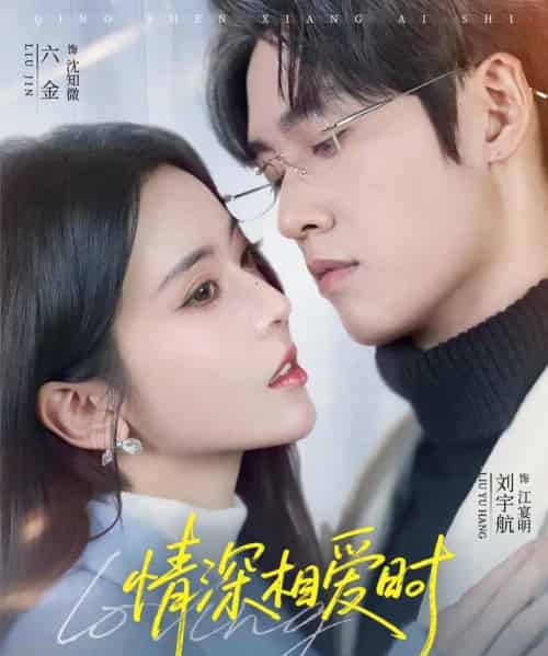 情深相爱时（79集全）刘宇航＆叶鑫鑫（六金yE）-搜外项目网