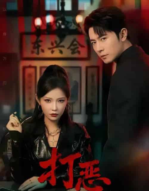 打恶（82集全）王昭＆刘灿-搜外项目网