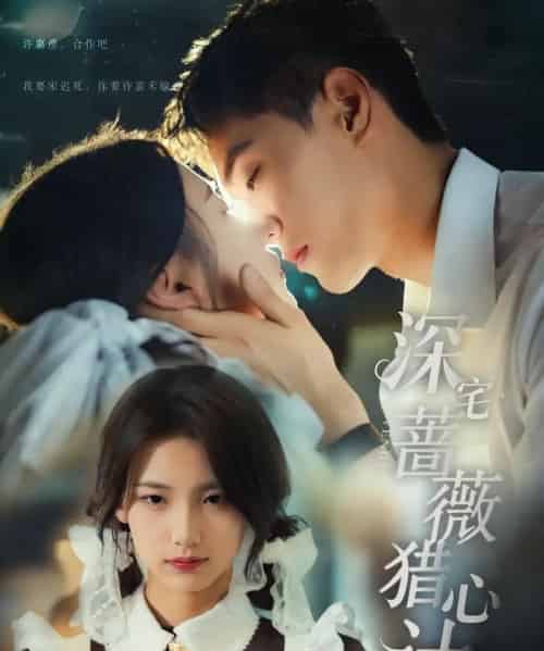 深宅蔷薇猎心计（66集）万林洲＆王昕瑶-搜外项目网