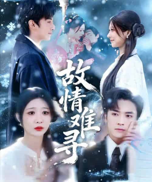 故情难寻(58集全)王博&孙妍恩-搜外项目网