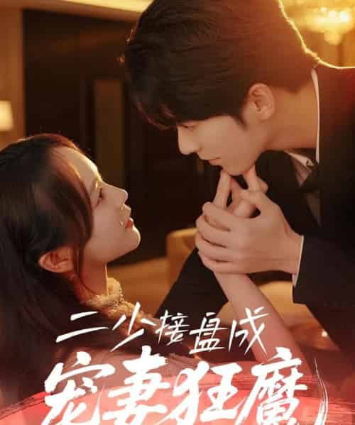 二少接盘成宠妻狂魔 （62集） 陈瑞＆彭慧玲-搜外项目网