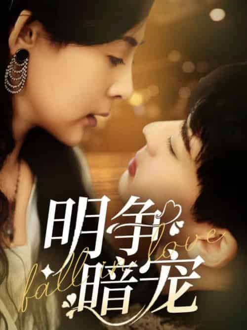 明争暗宠(70集全)石滢玉&张嘉印-搜外项目网