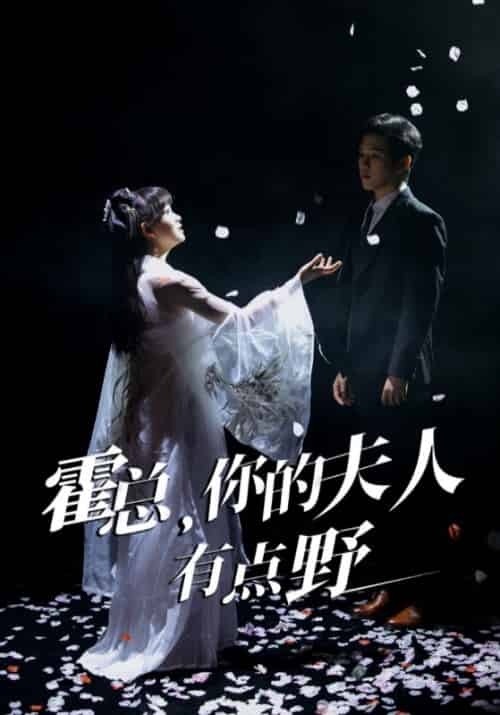 霍总，你的夫人有点野（51集）罗嘉麒＆赵财子-搜外项目网