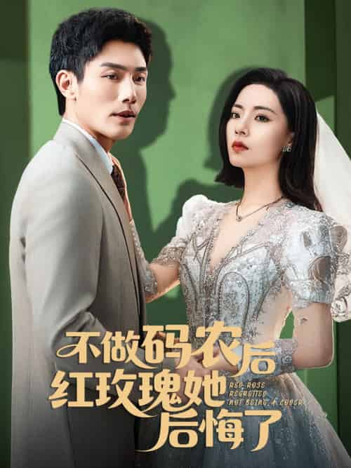 不做码农后红玫瑰她后悔了（60集）张培宝＆王瀚迎-搜外项目网