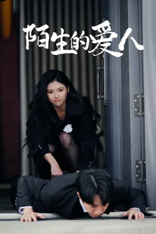 陌生的爱人（60集）骆虹宇-搜外项目网