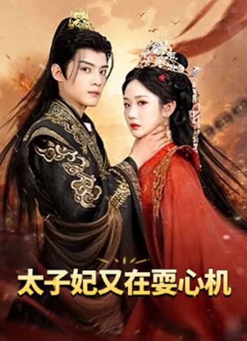 太子妃又在耍心机＆人家才不是坏女人（80集）张晋宜＆谢鸿鑫-搜外项目网