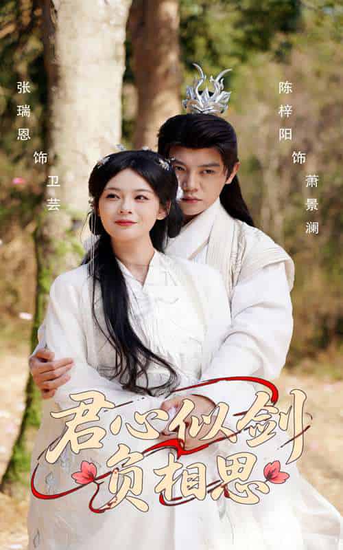 君心似剑负相思（61集）张瑞恩＆陈梓阳-搜外项目网